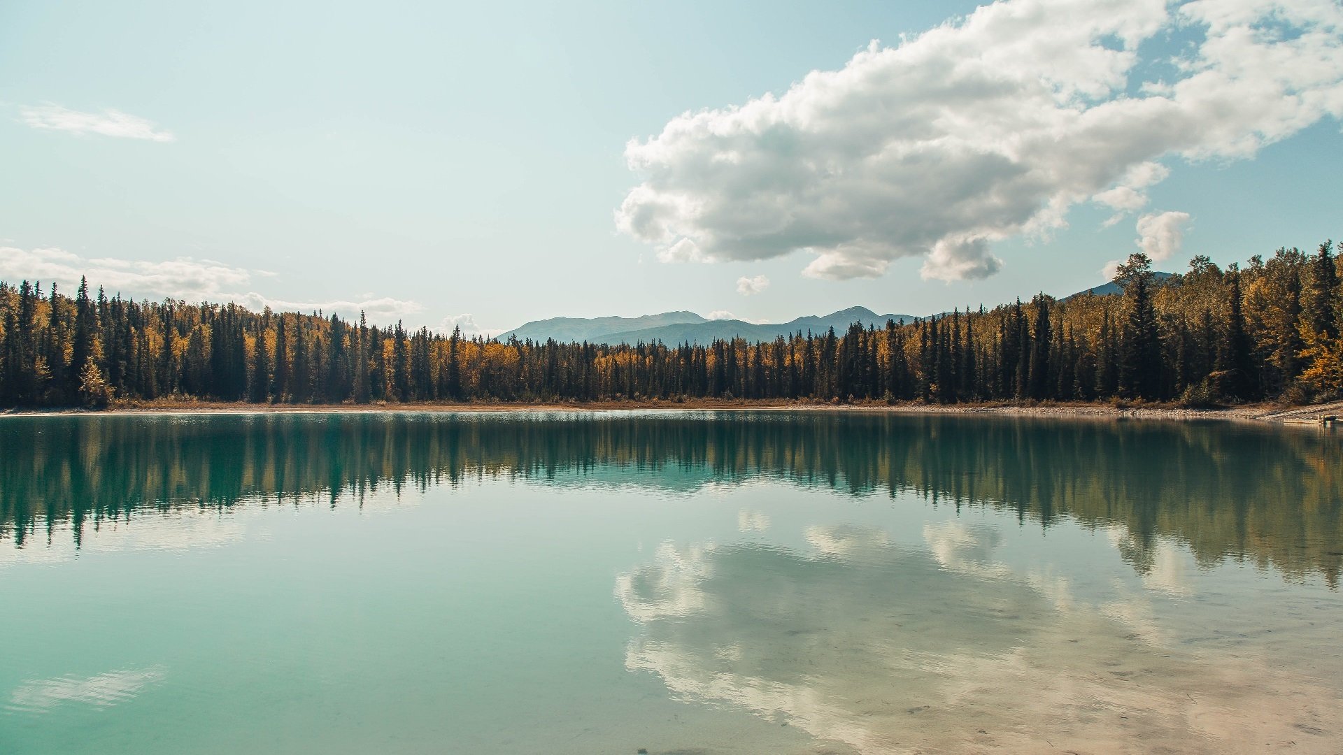 世界青少年马拉松劲爆开跑,燃烧希望,追逐梦想,2021青少年马拉松